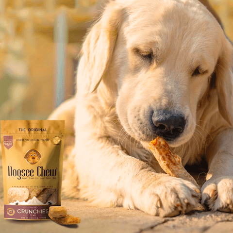 Dogsee Chew